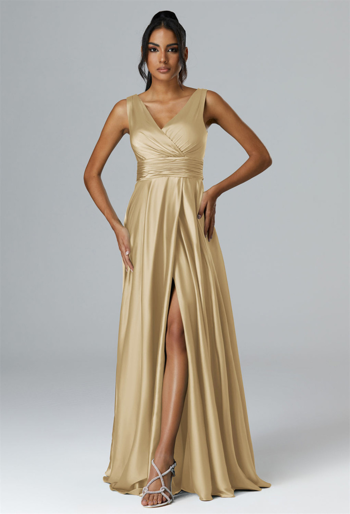 AW Rajmata Dress